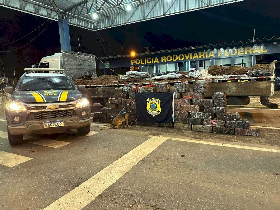 PRF apreende em MT caminhão de Dourados com uma tonelada de droga.