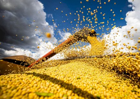 Conab estima recorde na produção de grãos