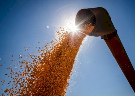 Conab estima produção de grãos em 315,8 milhões de toneladas
