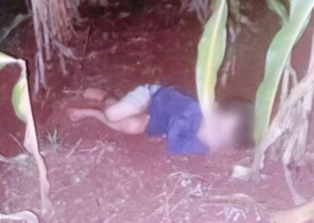 Criança de 2 anos ‘some’ e é encontrada dormindo em milharal