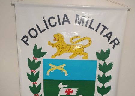 Novo Horizonte do Sul - Polícia Militar prende homem por porte ilegal de arma de fogo .