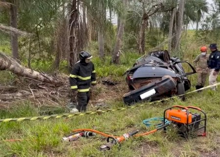 Motorista perde controle da direção e morre ao bater carro em coqueiro .