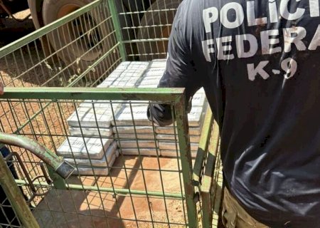 Polícia Federal apreende 223 quilos de cocaína em Deodápolis