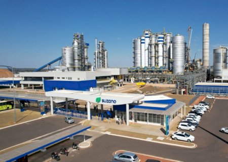 Suzano vende 2,9 milhões de toneladas de celulose e papéis no segundo trimestre de 2024