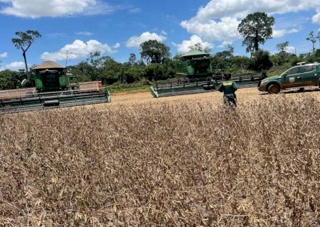 Máquinas agrícolas e mais de 72 mil kg de soja são apreendidos em operação contra desmatamento ilegal em MT