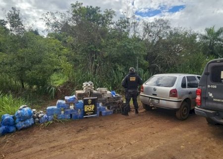 Polícia encontra mais de meia tonelada de maconha escondida em mata
