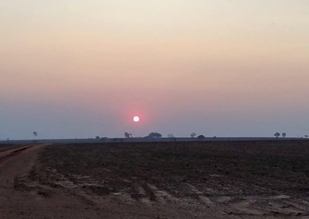 Agronegócio bate recorde com 28 milhões de pessoas atuando no setor em 2024