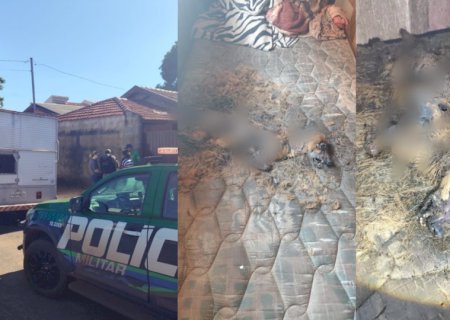 Inquilino abandona animais em casa fechada; dois morrem e um é resgatado pela PMA em Nova Andradina