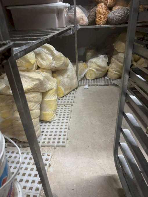 Polícia Civil autua em flagrante proprietário de padaria que comercializava produtos impróprios ao consumo
