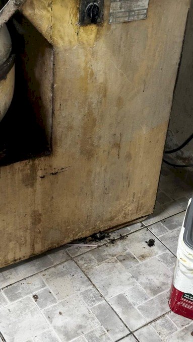 Polícia Civil autua em flagrante proprietário de padaria que comercializava produtos impróprios ao consumo