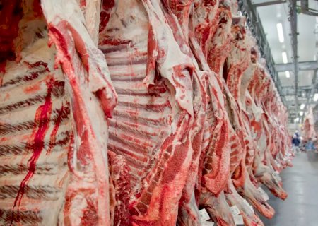 Exportação de carne bovina bate recorde em mês anterior ao tarifaço