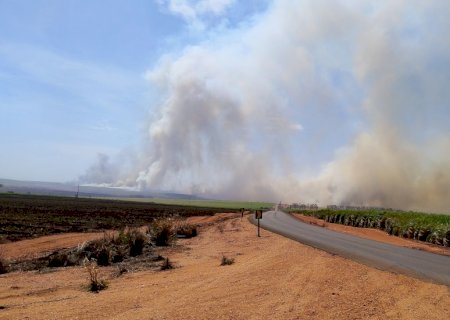 Angélica - Após horas de apreensão fogo em canavial é controlado