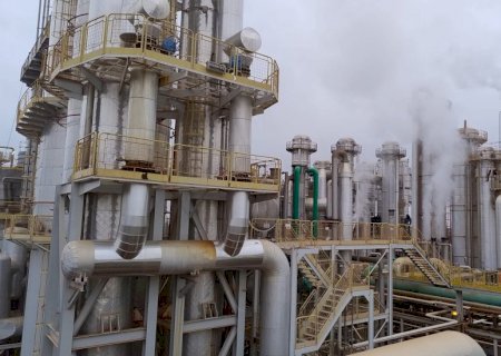 Quebra de safra de cana faz Adecoagro amargar prejuízo no 2º trimestre