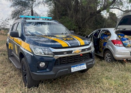 PRF apreende 732 Kg de maconha em Deodápolis