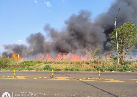 Nova Andradina - Incêndio de grandes proporções em canavial na BR-376 próximo ao Parque Industrial