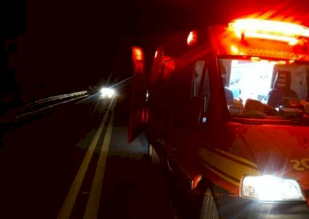 Angélica - Motociclista fica ferido após colidir com animal silvestre na rodovia MS-141