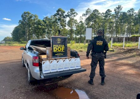 DOF apreende 250 litros de agrotóxicos na MS-164