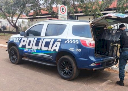Ivinhema - Mulher é agredida pelo marido e está em estado grave após violência doméstica