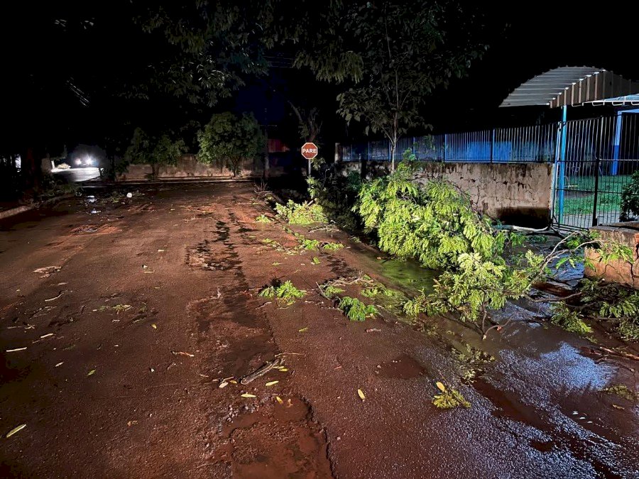 Chuva forte alaga ruas, destelhou casas e derrubou árvores em cidade no MS
