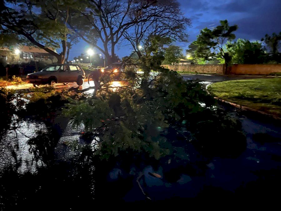 Chuva forte alaga ruas, destelhou casas e derrubou árvores em cidade no MS