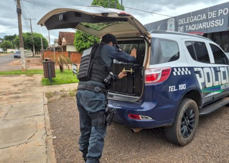 Polícia Militar cumpre mandado de prisão em Taquarussu