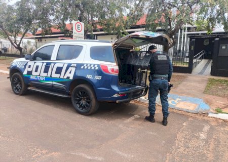 Polícia Militar conduz homem por perturbação do sossego, ameaça e embriaguez em Ivinhema