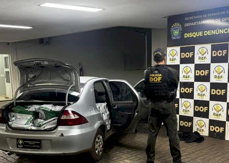 DOF apreende carga de agrotóxicos contrabandeados