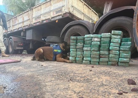 A Polícia Rodoviária Federal (PRF) apreendeu 215 quilos de cocaína com o auxílio de cães farejadores durante uma ação de fiscalização