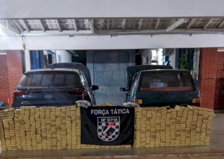 Polícia Militar faz grande apreensão de entorpecentes e causa prejuízo milionário ao crime