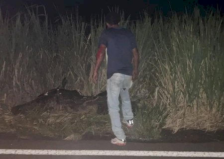 Motociclista fica ferido após queda na MS-395 entre Bataguassu e Anaurilândia