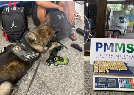 Cão farejador flagra passageiros com cápsulas de cocaína no estômago e escondidas nas meias na fronteira com a Bolívia
