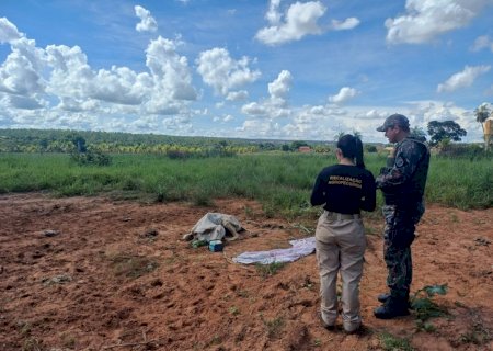 Denúncia leva PMA a resgatar bovino em situação extrema de abandono