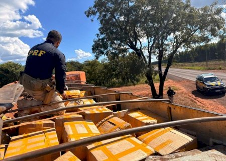 PRF apreende 1,2 tonelada de maconha e pistola na BR-262