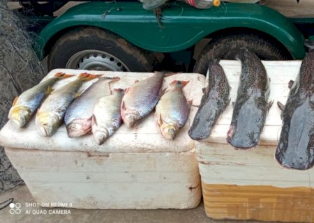 Polícia Militar Ambiental apreendeu 42 quilos de pescado ilegal e redes no Rio Ivinhema