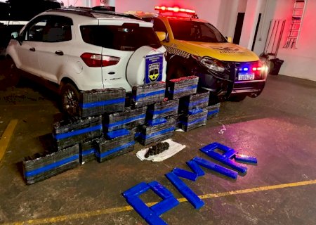 Ivinhema - PMR apreendeu mais de 190 quilos de drogas,  na MS -141