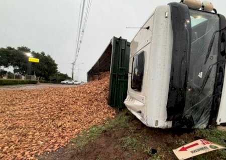 Caminhão carregado com cavaco de madeira, tomba em trevo da BR-376 com a MS-473, em Nova Andradina
