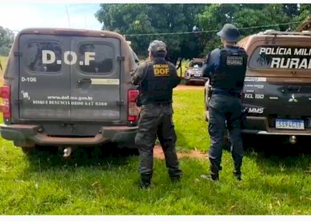 Polícia Militar Rural e DOF recuperam 34 cabeças de gado, furtadas de fazenda do cantor Almir Sater