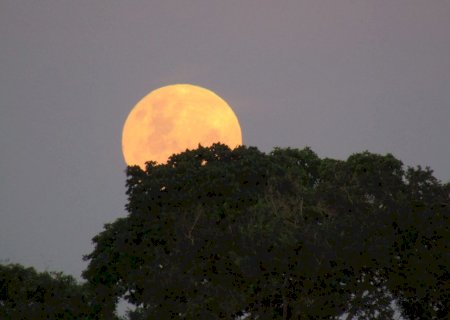 Preparem os casacos - Frio vai chegar e termômetros vão ficar abaixo dos 10 °C, em MS