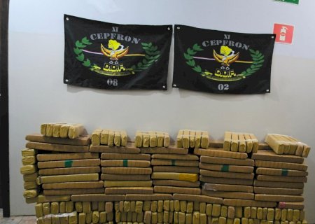 DOF apreende quase 300 quilos de maconha em Nova Andradina