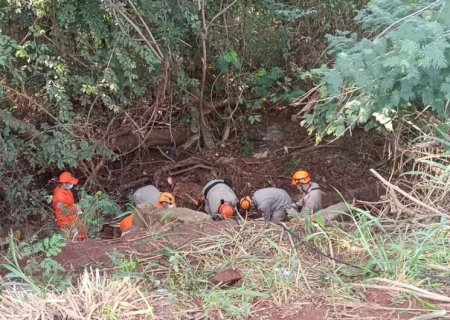 Motorista fica gravemente ferido após perder controle e capotar veículo na BR-163