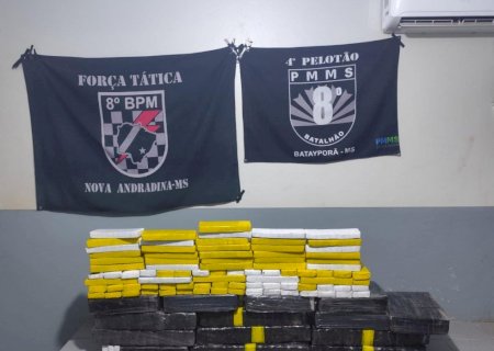 Polícias Militar e Rodoviária Federal apreendem mais de 200 quilos de maconha na MS-276