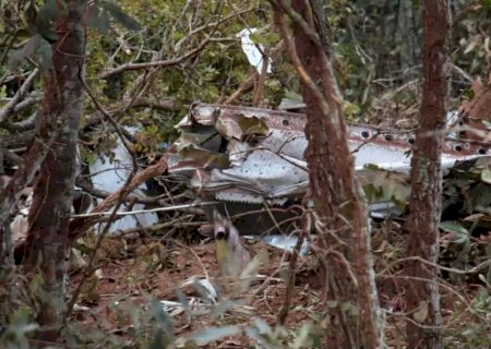 Duas pessoas morrem após queda de avião logo depois da decolagem