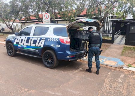 Ivinhema: Polícia Militar prende homem por embriaguês ao volante