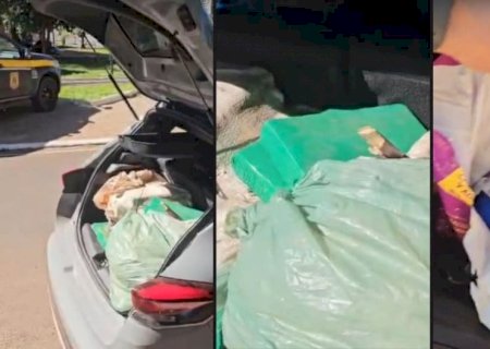 Uma ação conjunta entre a Polícia Rodoviária Federal (PRF) e a Polícia Militar (PM) resultou na apreensão de mais de 400 quilos de drogas em Nova Andradina (MS)