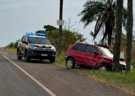 Veículo colide na BR-060 e carga de agrotóxicos é encontrada; motorista foge do local