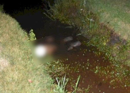 Menor é morto a tiros em briga de facções horas após ser colocado em liberdade pela Justiça em Maracaju
