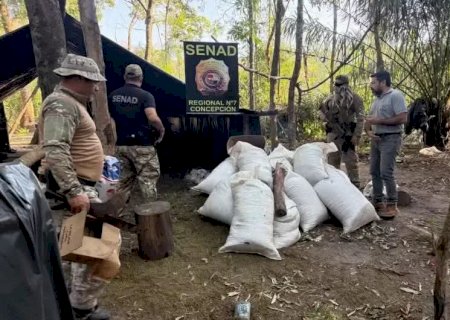 Em três dias, operação em conjunto destrói mais de 160 toneladas de maconha na fronteira