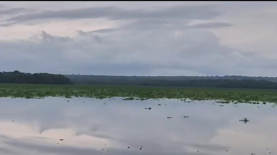 Rio Pardo em alerta: macrófitas avançam e preocupam moradores em Ribas do Rio Pardo